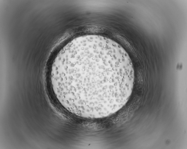 X0000098080730200805021021