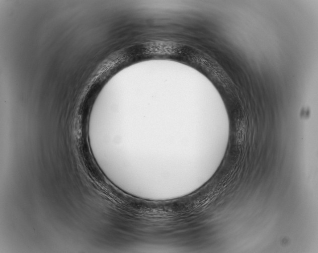 X0000098080731200805021021