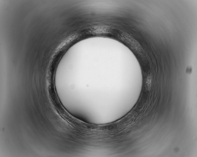 X0000098080732200805021021