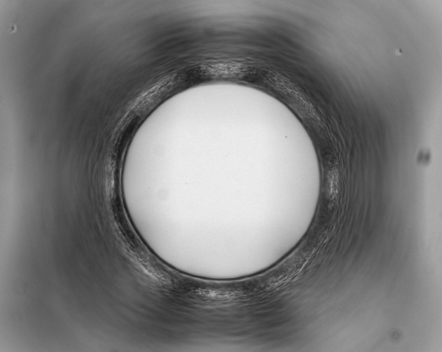 X0000098080733200805021021
