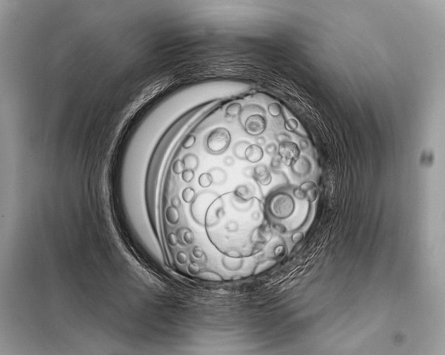 X0000098080734200805021021