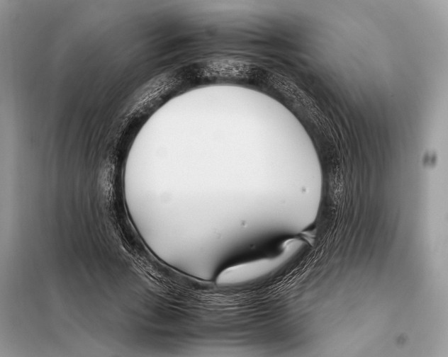 X0000098080735200805021021