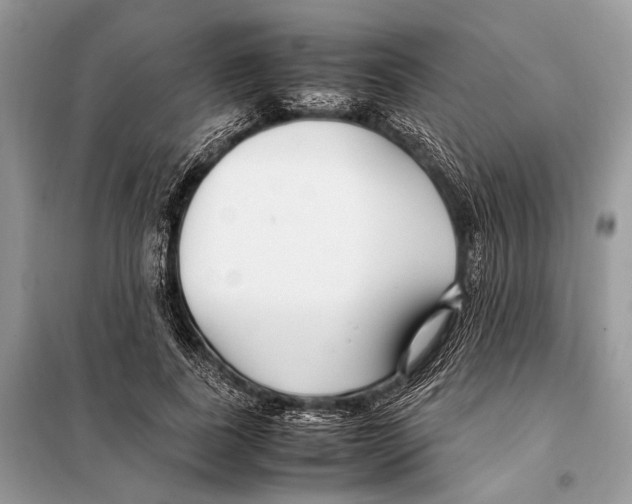 X0000098080739200805021021