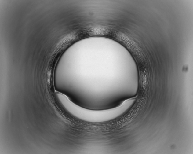 X0000098080742200805021021