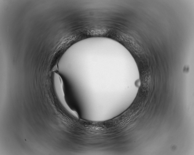 X0000098080743200805021021