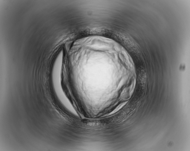 X0000098080744200805021021