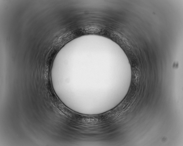 X0000098080745200805021021