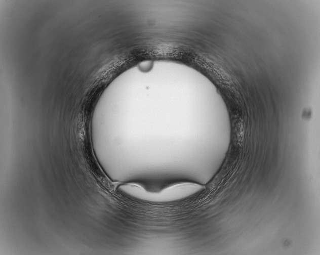 X0000098080746200805021021