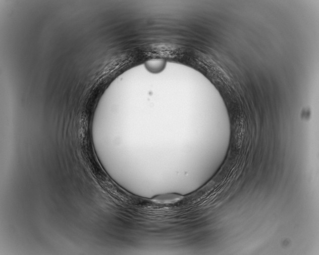 X0000098080747200805021021