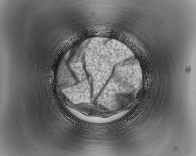 X0000098080748200805021021