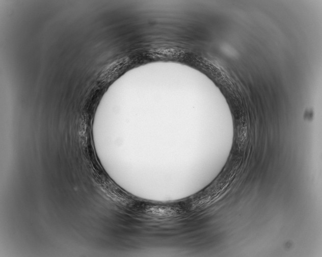 X0000098080749200805021021