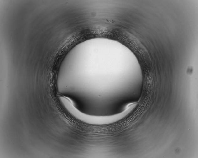 X0000098080750200805021021