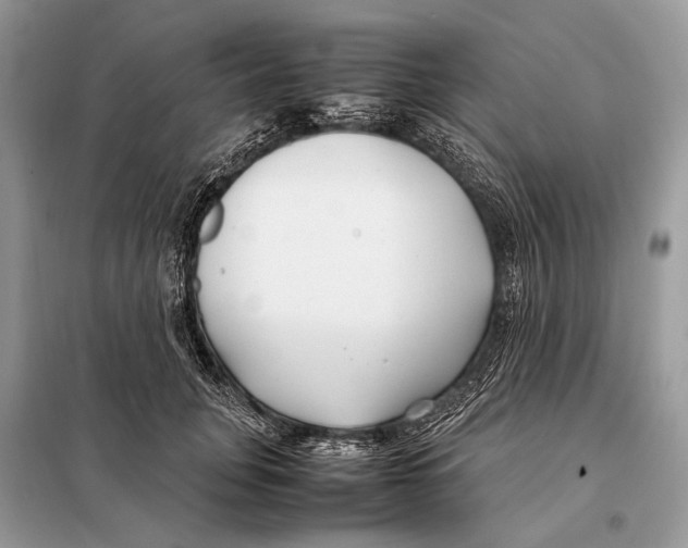 X0000098080751200805021021