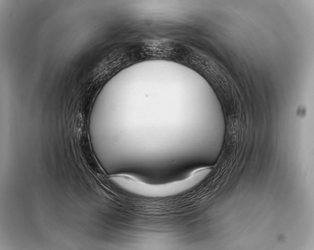 X0000098080752200805021021