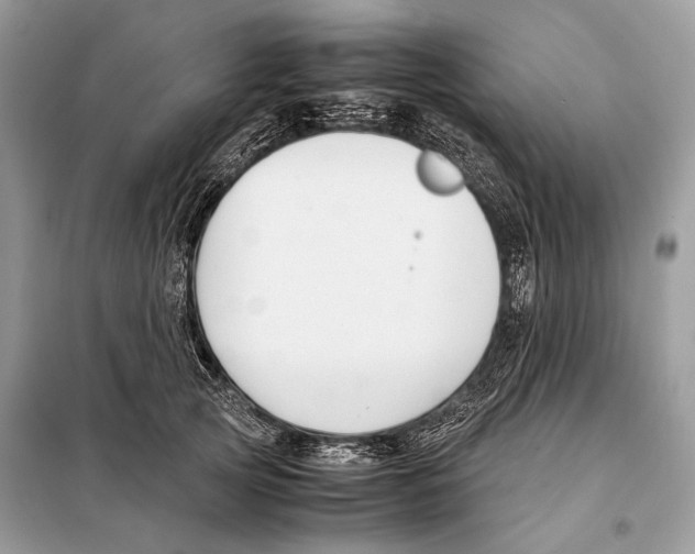 X0000098080753200805021021