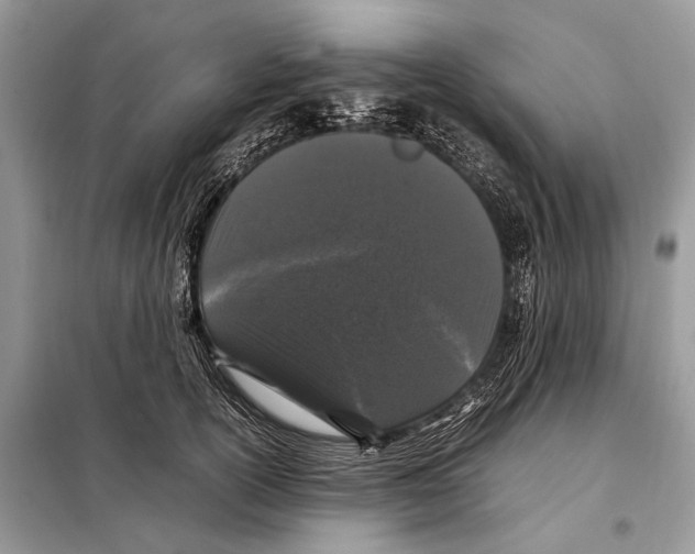 X0000098080754200805021021