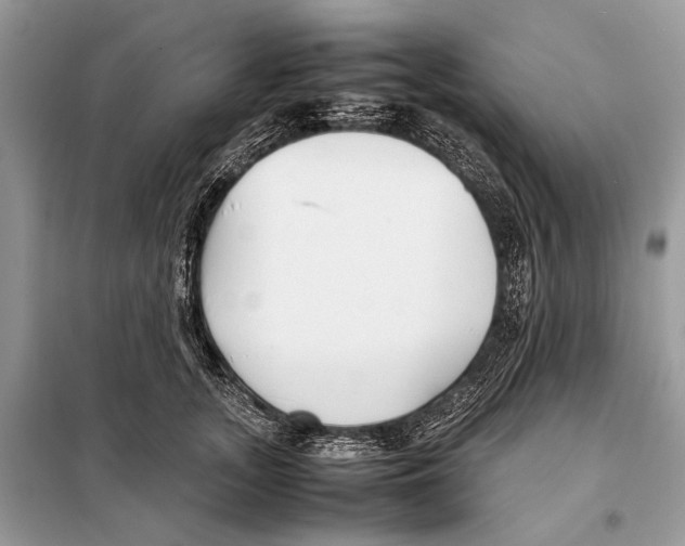 X0000098080755200805021021