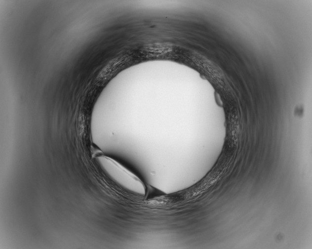 X0000098080758200805021021