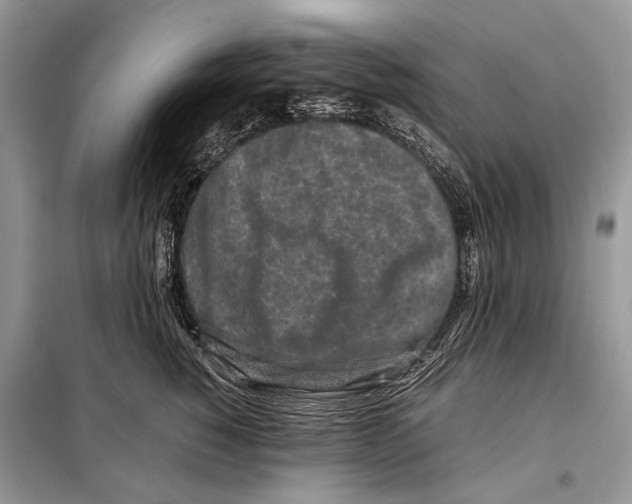 X0000098080760200805021021
