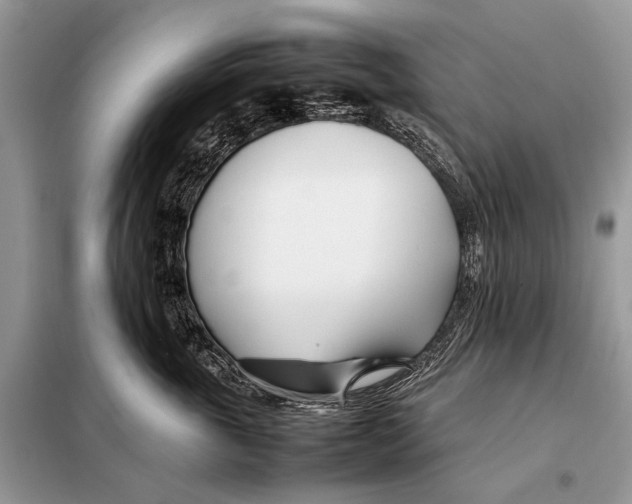 X0000098080763200805021021