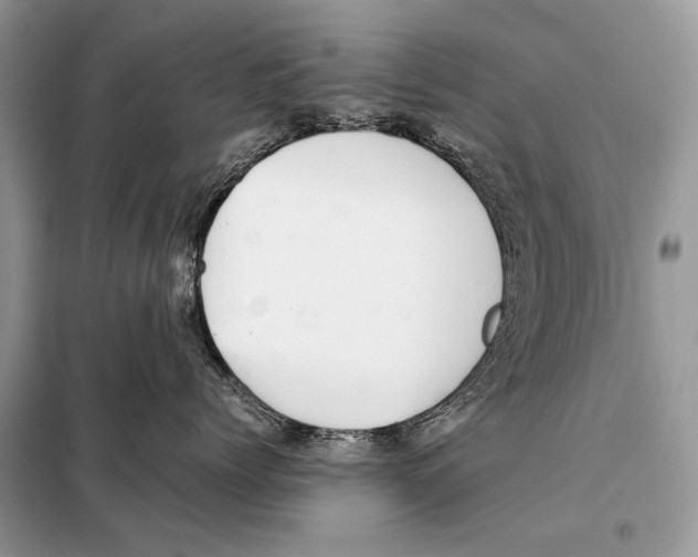 X0000098080768200805021021