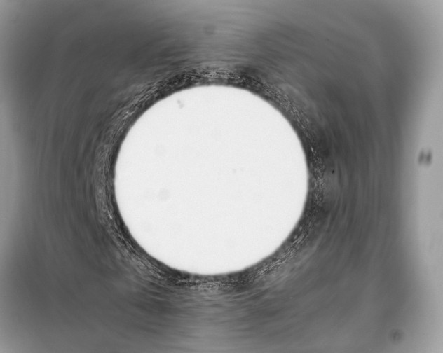 X0000098080769200805021021