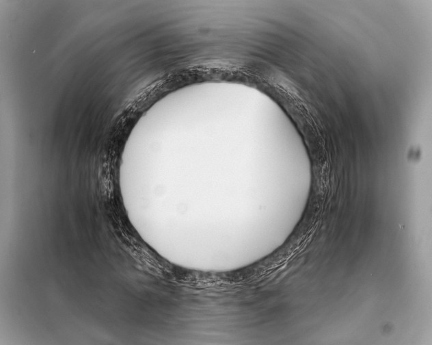 X0000098080774200805021021