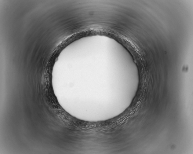 X0000098080776200805021021