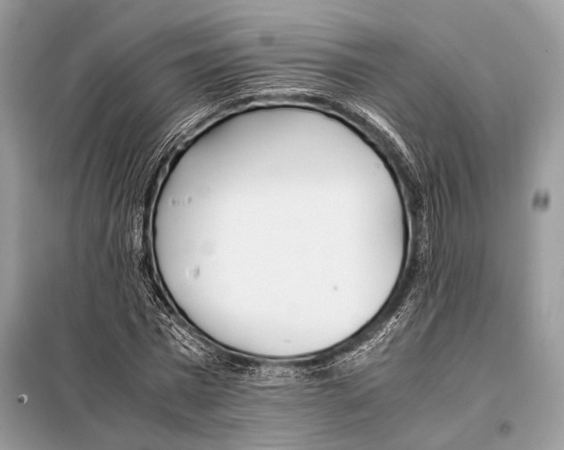 X0000098080777200805021021