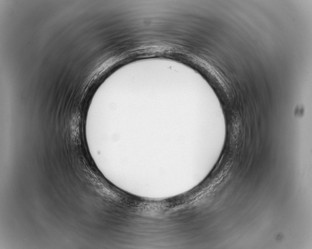 X0000098080778200805021021