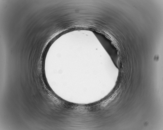 X0000098080779200805021020