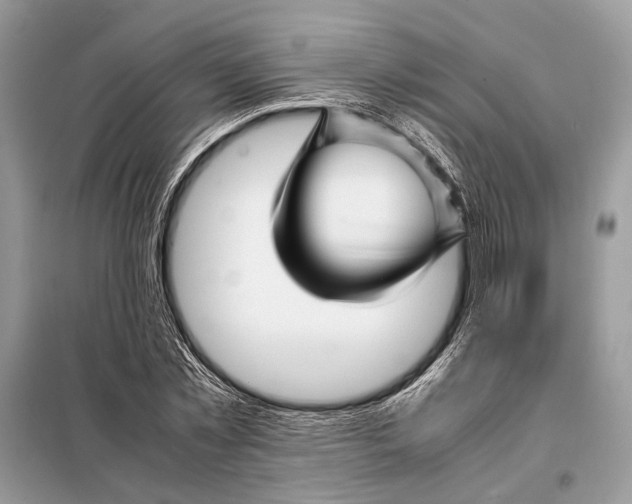 X0000098080781200805021020