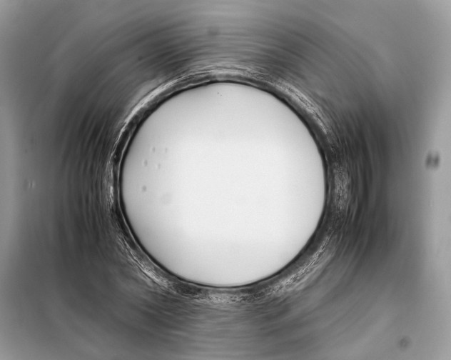 X0000098080782200805021020
