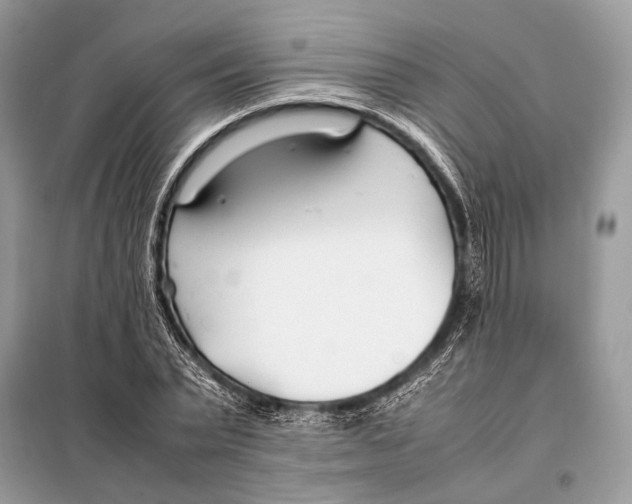 X0000098080783200805021020