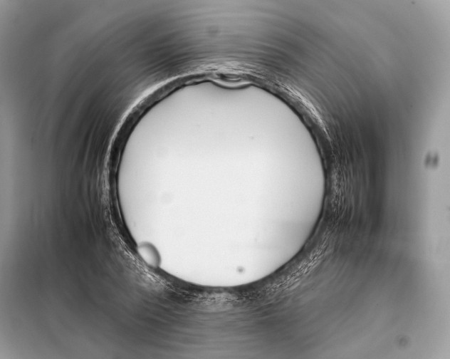 X0000098080784200805021020