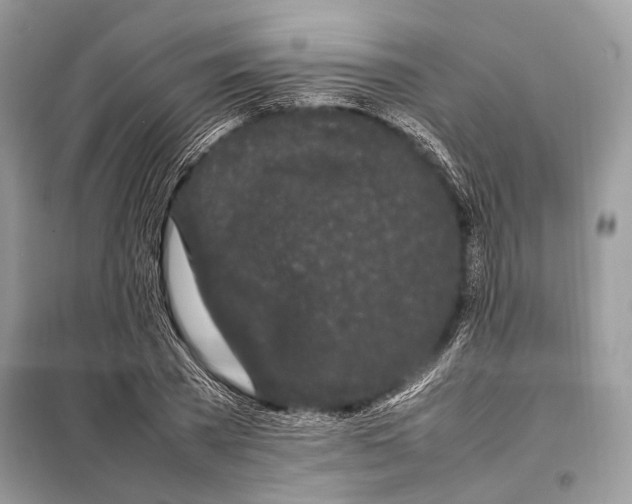 X0000098080785200805021020