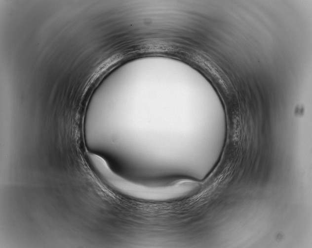 X0000098080786200805021020