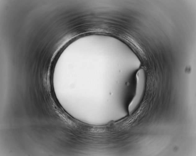 X0000098080788200805021020