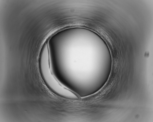 X0000098080789200805021020
