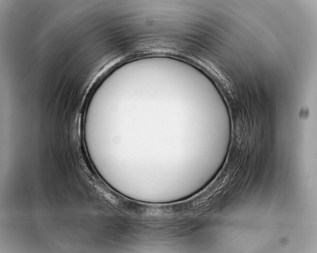 X0000098080790200805021020