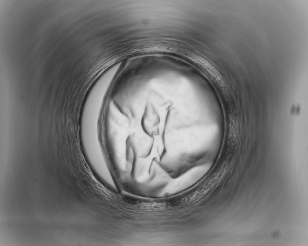 X0000098080793200805021020
