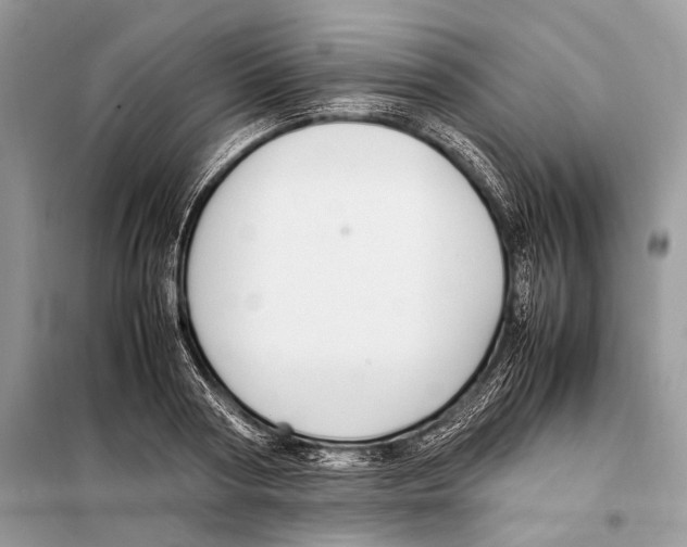 X0000098080794200805021020