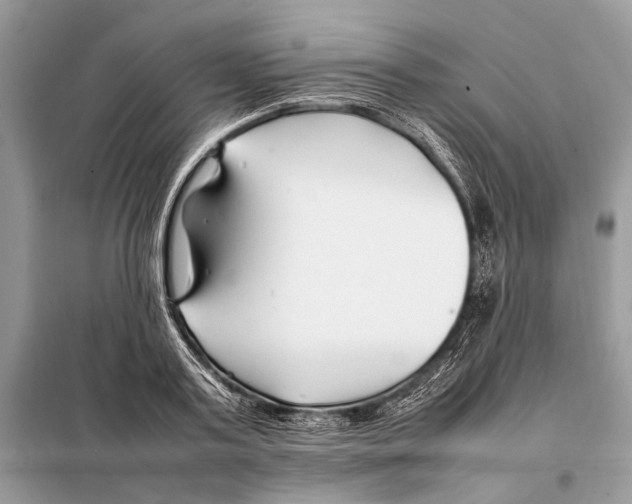 X0000098080795200805021020