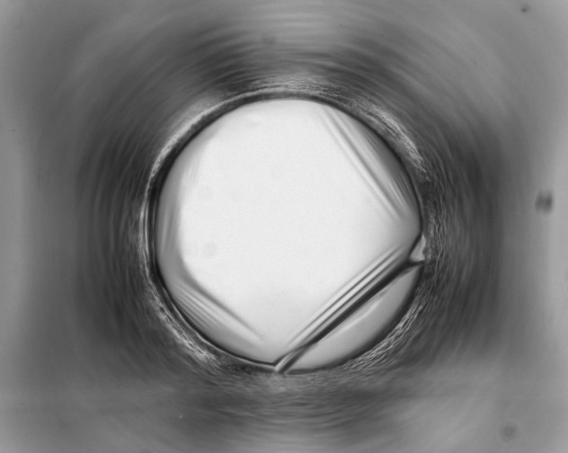 X0000098080796200805021020
