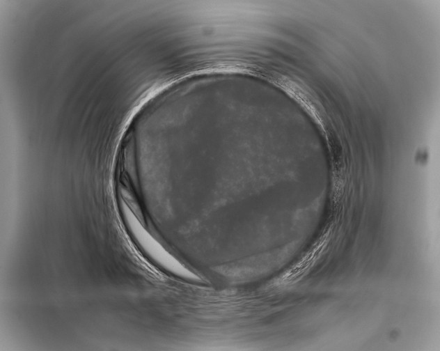 X0000098080797200805021020