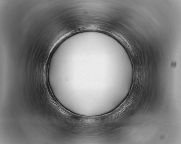 X0000098080798200805021020