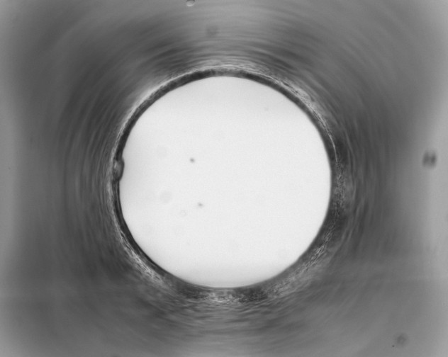 X0000098080799200805021020