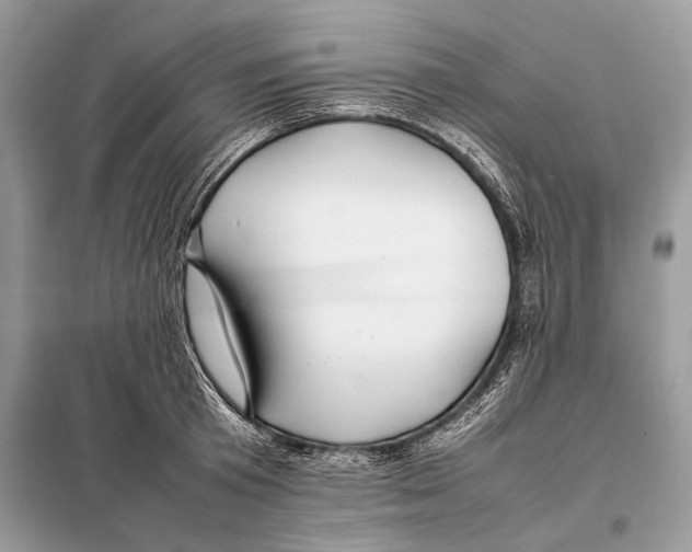 X0000098080801200805021020