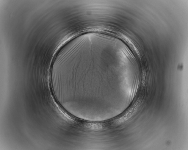 X0000098080802200805021020