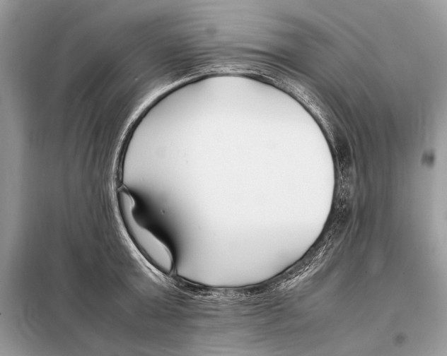 X0000098080803200805021020